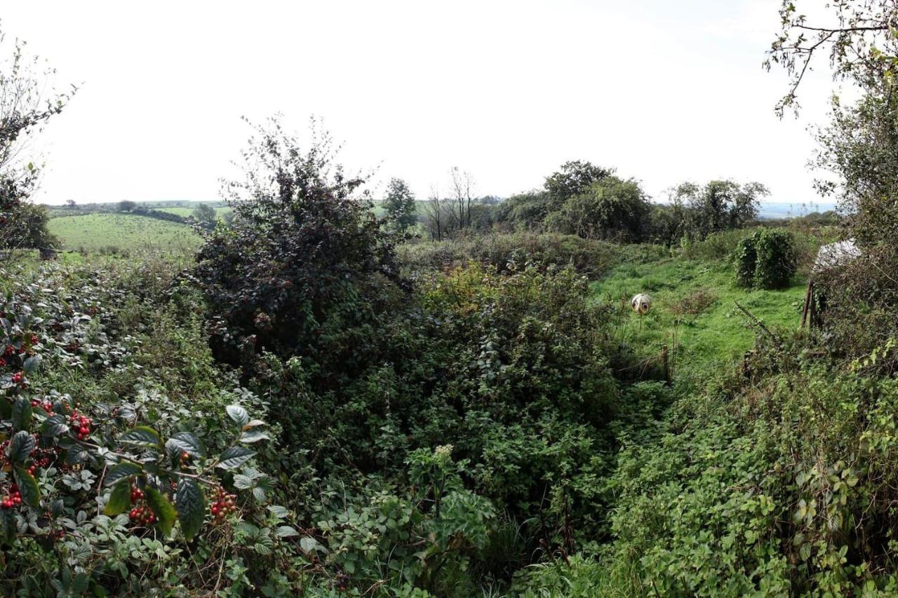 Inviting 2-bed In * Newcastle Emlyn