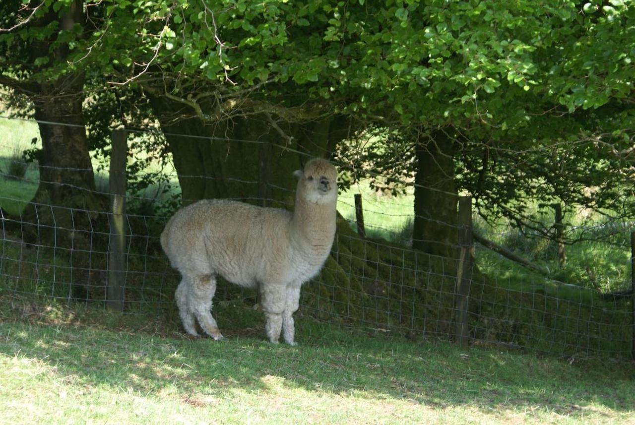 Inviting 2-bed In Holiday home *
